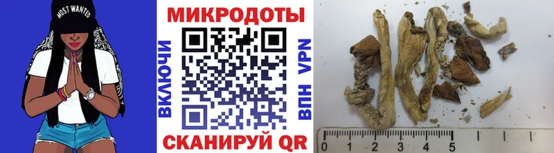 Псилоцибиновые грибы Psilocybe  Белорецк 